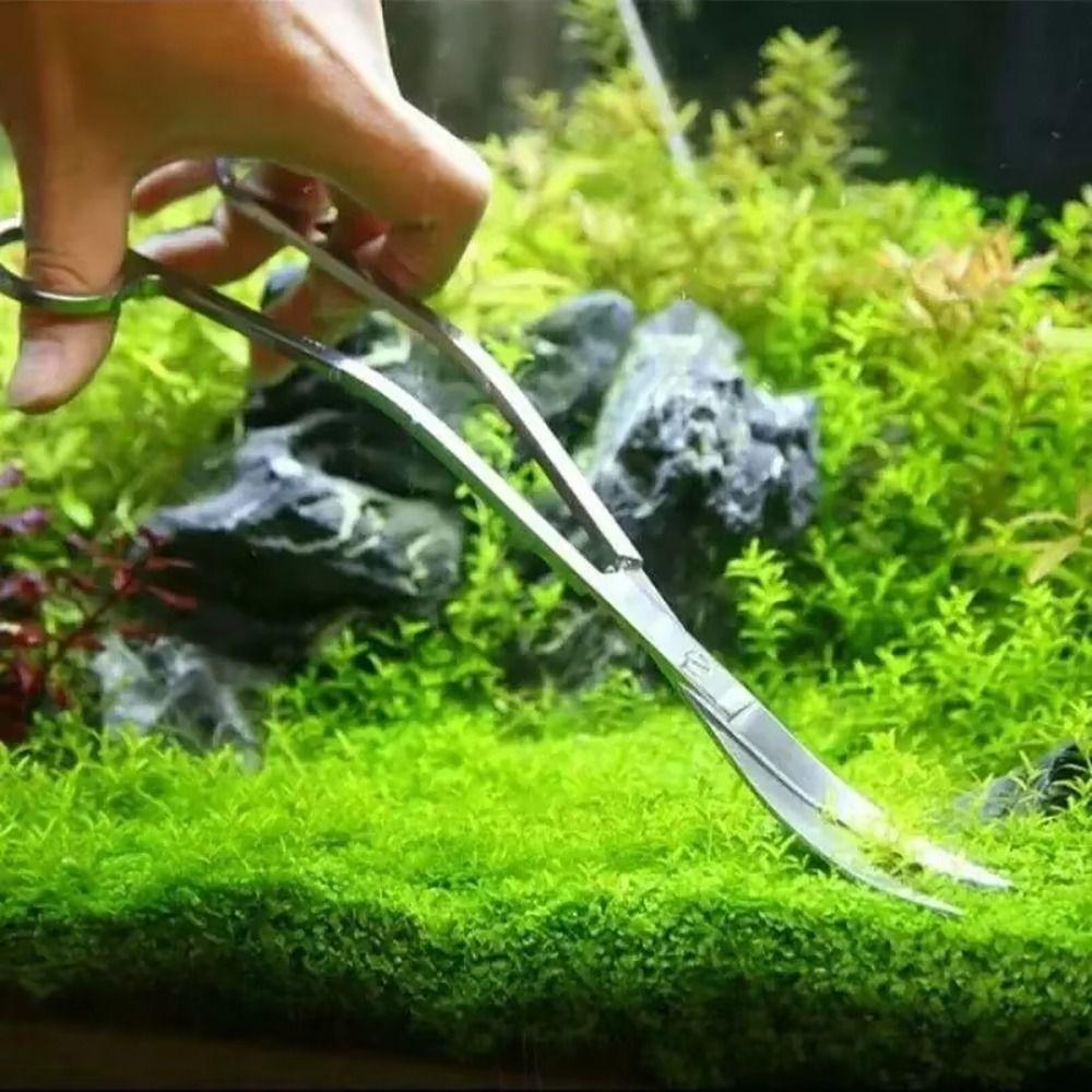 1Pcs Plants Wave Water Grass Scissor Straight Curved Aquarium Cleaning Tool  Fish Tank