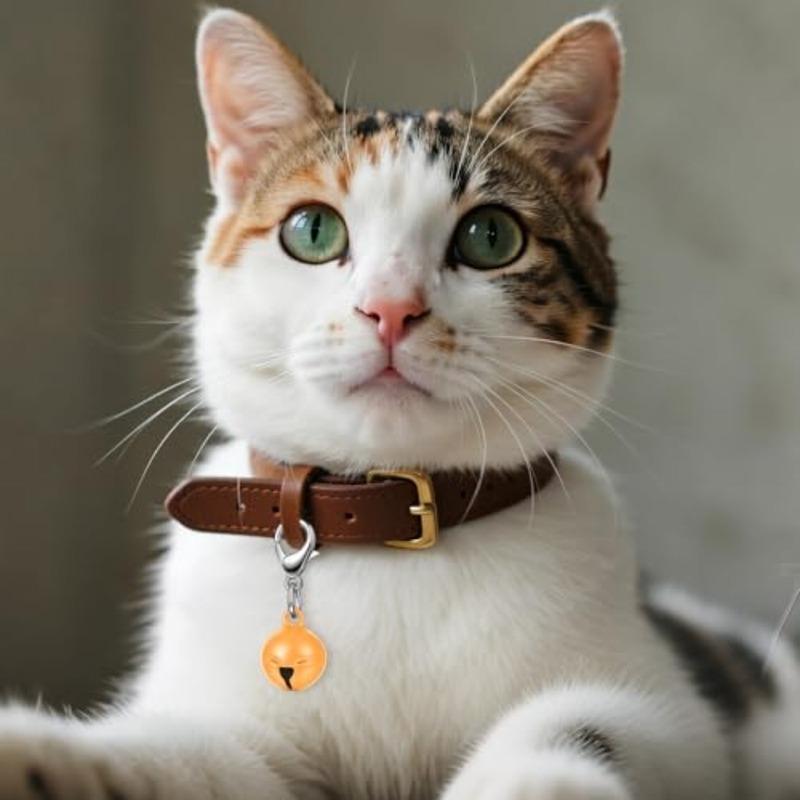 14 Pcs Pet Bell, Small Dog Collar Bell with Key Rings Clasps Cat Collar Charms Pet Pendant Accessories for Small Animal Dog Goa