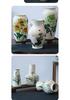Hand-painted Peony Ceramic Vase for Hydroponic Flower Arrangement