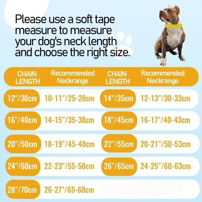 Titanium Steel Dog Chain Collar Harnesses 15mm Stainless Steel Gold Collar 19mm Silver for Small Dogs Pet Products Supplies