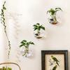 3 Stück Wandhängendes Glas-Terrarium Wandmontierte Runde Kristallvase Grüne Efeu Hydrokultur-Pflanzenbehälter für Haus Büro Dekoration