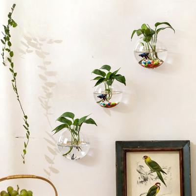 3 Stück Wandhängendes Glas-Terrarium Wandmontierte Runde Kristallvase Grüne Efeu Hydrokultur-Pflanzenbehälter für Haus Büro Dekoration