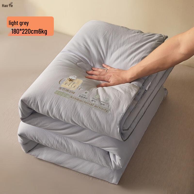 

Hao Ye All-Season Thickened Cotton Duvet Insert