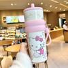 Shangqi 316L Stainless Steel Insulated Travel Tumbler with Straw