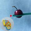 13 Piezas 30-120 Mm Plástico Fruta Medición Diámetro de la Tapa Calibres Círculo de Medición Regla Herramienta de Medición de Tamaño Equipo de Clasificación de Cítricos