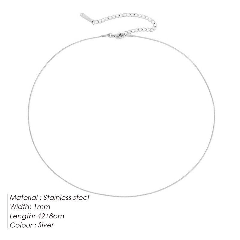 Steel Necklace Round Snake Chain for Women Simple Light Luxury Plain Chain Couple Clavicle Chain European and American Fashion Snake Bone Chain