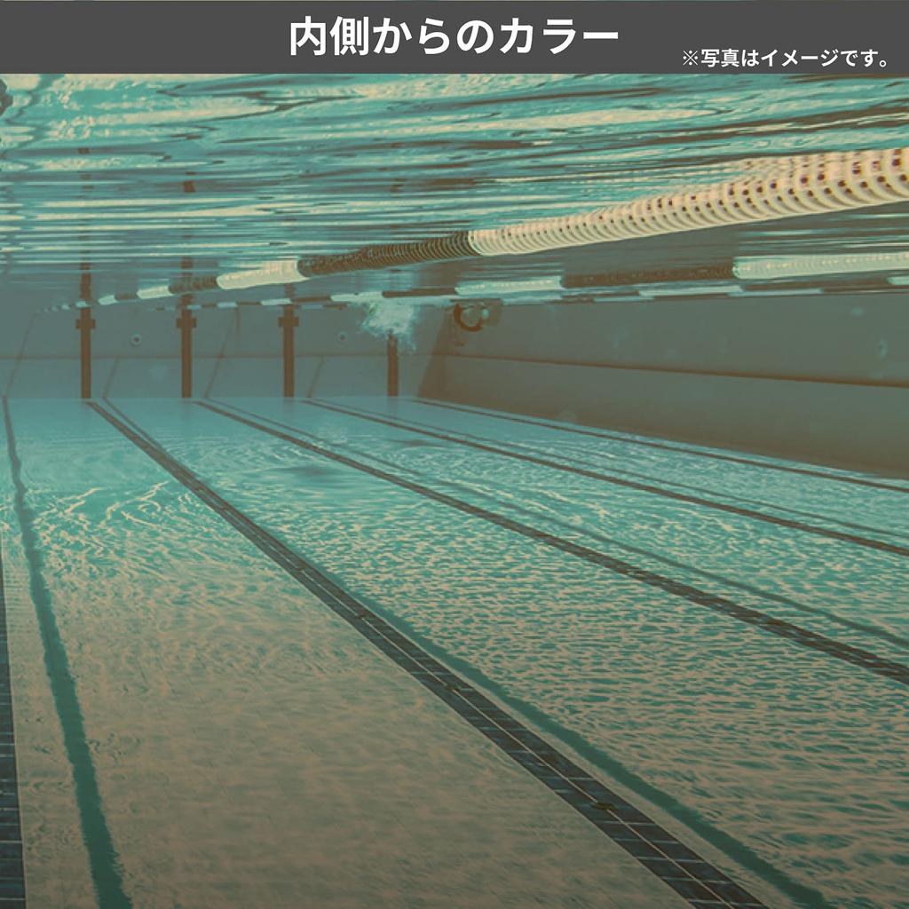 SWANS SMBL Racing Natație Fum x Albastru Flash Fabricat pentru Copii cu Vârste SR-11JM Ochelari de înot, Oglindă, Fără Perniță, Japonia, 6-12