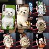 Maltese Dog Puppies Case For Samsung Galaxy J7 J5 J1 J3 2016 A3 A5 2017 A6 A7 A8 A9 J8 2018 J4 J6 Plus Coque