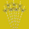 Butterfly Card Disposable Ecofriendly Paper Drinking Straw For Party Decor And Cocktails