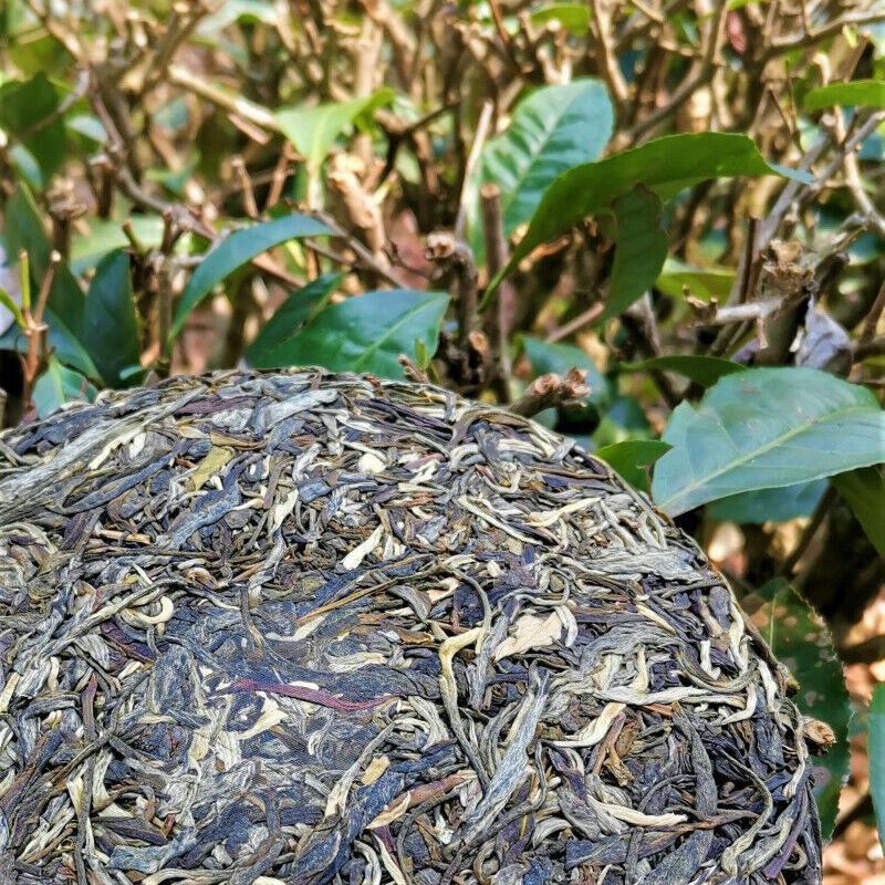 357 g Zelený čaj Zhonghong Indie Mengku jarní čaj Yunnan Pu'er Raw Tea Cake
