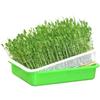 Garden Home Use Seed Sprouter Tray BPA Free PP Soilless Bean Sprout Grower Seedlings Germination Tray Sprouting Kit with Lid