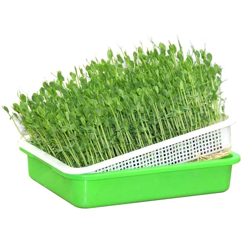 Garden Home Use Seed Sprouter Tray BPA Free PP Soilless Bean Sprout Grower Seedlings Germination Tray Sprouting Kit with Lid