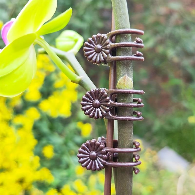 100pcs Plastic Garden Plant Clips, Dark Green & Coffee Brown Support Clips for Orchids,Safe Upright Plant Growth Gardening Tools
