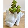Cute Bulldog Puppy Animal Statue Creative Mini Resin Dog Succulent Planter Small Flower Pot Air Plant Bonsai Potting Container