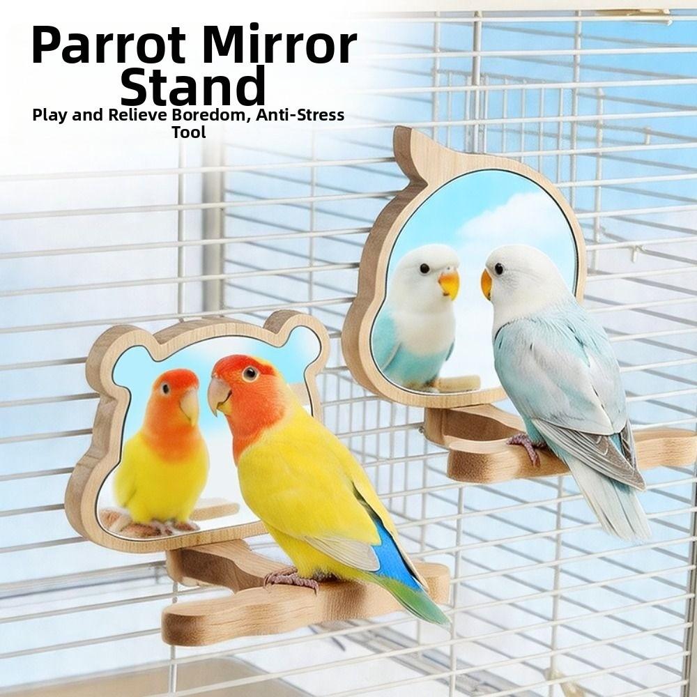 Acrylic Mirror Wood Bird Training Stand Birds Grinding Perch Holder  Small Medium Animals