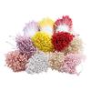 380 pcs: 1mm Matte Flower Centers & Imitation Plaster Stamens for Roses, Lilies