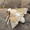 Soft Silkworm Moth Plush Toy Cute Simulated Insect Animal Exquisite Fuzzy Winged Bug Decorative Ornament Kids Gift Home Decor