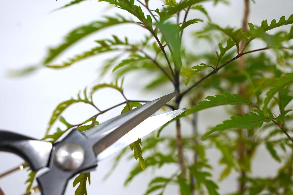Senkichi Kin Slim Bud Pruning 195mm Overall Cutting Thickness of Live Wood up to Type Shears, Hand-Forged, Length, 8mm, Screw/Bolt