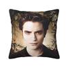 Movie The Twilight (2) Pillow Cover Polyester Pillow Case Cushion Cover Funny Design Pillowcases For Sofa Home Decoration