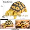 European & Indian Star Tortoise Simulation Toy for Car Decoration