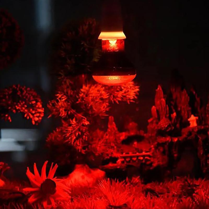 Pet Red Heating Lamp E27 Day Night For Amphibian Snake Lamp Heat Reptile Bulb Uv Light 25W 50W 75W 100W Ac220-240V