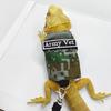 Bearded Dragon Leash with Harness Reptiles Traction Rope Outdoor Walking Training Harness Leash for Reptiles Guinea Pig Lizards