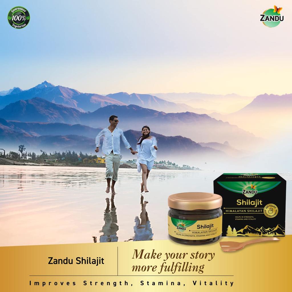 Zandu Pure Himalayan Shilajit Resin 20g Pack of 1 Natural Ayurvedic Energy Booster for Strength & Stamina