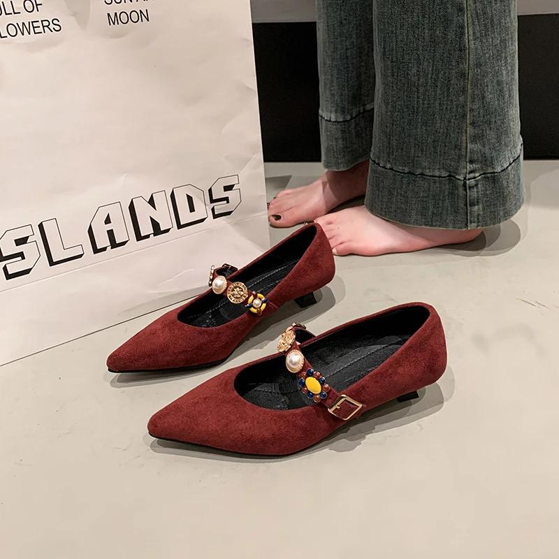 Fashion 2025 New Fashion Retro Women  Metal Heels Shallow Mouth Luxury Pumps Mary Jane Sandals Ladies Metalic Fashion Latest Low Velvet