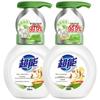 Chao Neng Antibacterial Foaming Hand Soap