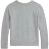Polo Ralph Lauren Sweatshirt FW24 Solid Color Small Pony Embroidery Crew Neck Pullover Long Sleeve Kids sweatshirt Gray 313844839-003