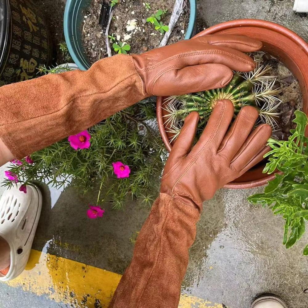 Coffee Gardening Gloves Long Sleeve Gardening Mitts Worker Pruning Gloves  Horticulturist