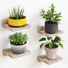 4 Stück Holz Wandmontierte Regale Einfache Pflanzen Blumentopf Tabletts Langlebige Blumenständer für die Küche