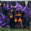Barevné Halloweenské pavučiny Roztažitelné bavlněné pavučiny Elastické Strašidelné párty scénické rekvizity pro Halloweenské a Štědrovečerní večírky