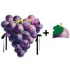 Grape Fruit Costume for Party Halloween Stage Performance, Adult Kids Funny Sponge Outfit, New Fancy Dress