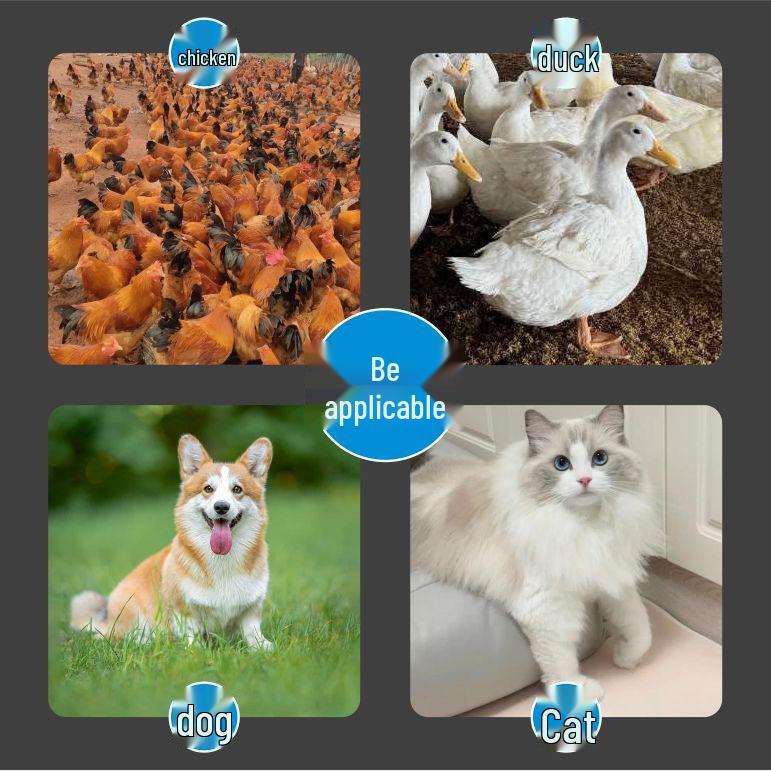 Automatic Drinking Bowl for Adult Chickens, Ducks, and Geese - Poultry Water Dispenser