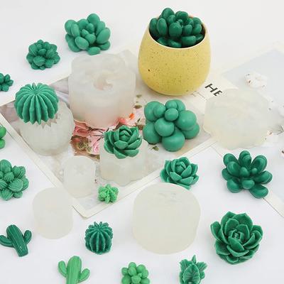 9 Moules en Silicone pour Plantes Succulentes Faciles à Démouler DIY Cactus Plante Savon Bougies Parfumées Artisanat 3D Moule de Coulée Époxy Décoration Maison