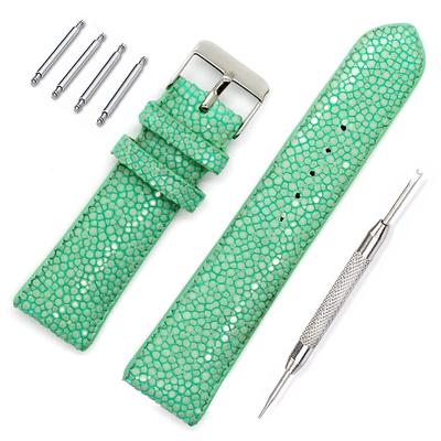 Levetta Stingray Leather Watch Light with Spring Bar Remover Band, Green, 22mm, [089-11stb22]