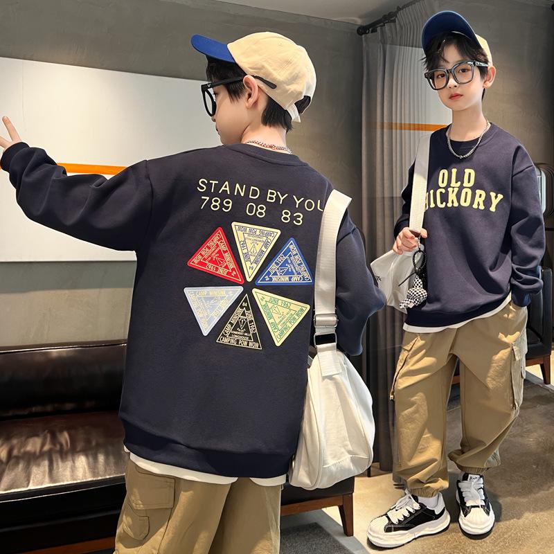 Boys' Trendy Long-Sleeve Sweatshirt - Autumn & Spring 2025 Collection