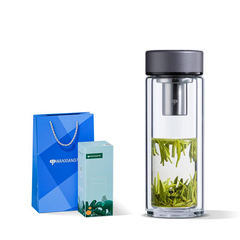 V379R Double-Layer Borosilicate Glass Portable Tea Cup