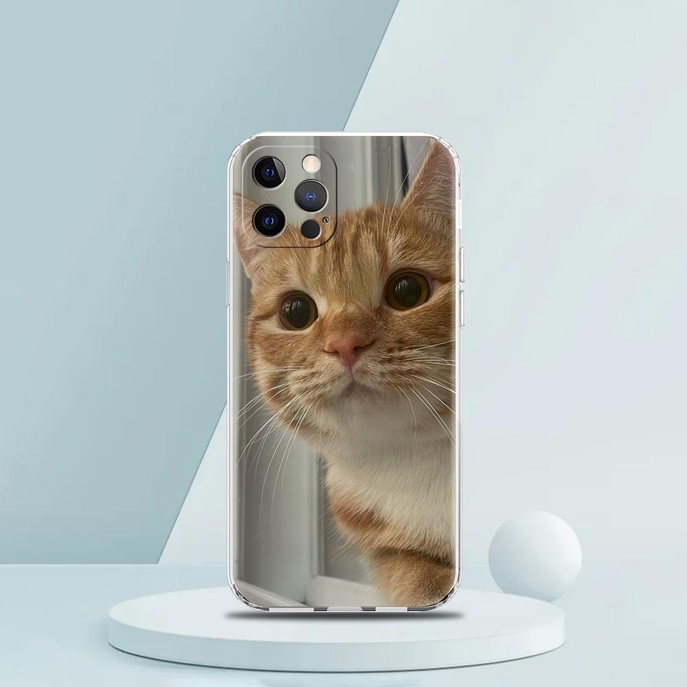 Cartoon Fun Cat Pet Dog Luxury Phone Case For iPhone 16 15 14 13 12 11 Pro Max XS X XR SE 7 8 Plus soft Silicone Clear Cover