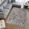 Washable Printed Carpet RVGHOME0619
