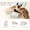 All Trust Cat Plush Toy, Realistic Cat Goods, Birthday Gift (Design A)