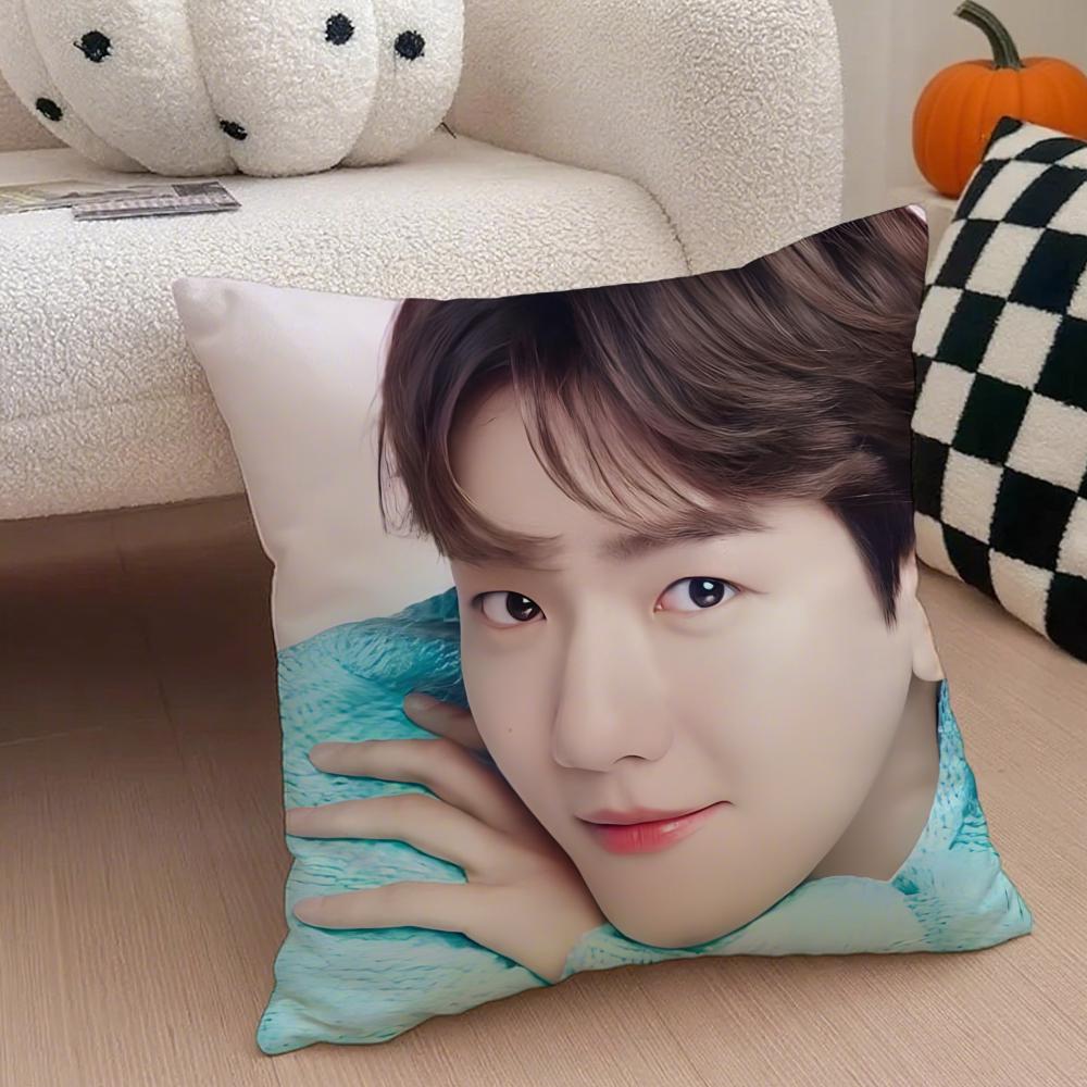 Classic Korean Handsome Singer BByun Baekhyun Cushion Cover Throw Pillow Cover Hidden Button Durable Polyester Chair Cushion