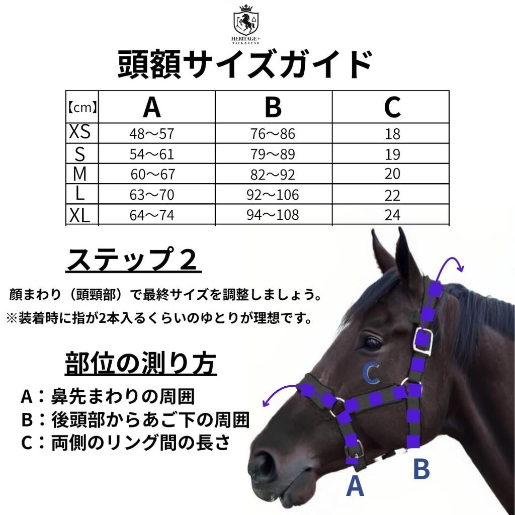 Horse Riding Gear, Waistband, Belly Band, Compatible with Front and Rear Ties, Horse Harness, Rein Connection, Black, Size M [Parallel Import]