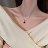 Double-sided Four-leaf Clover Titanium Steel Light Luxury Jewelry Women's Collarbone Chain Simple Hundred Matching Neck Chain