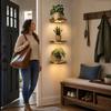 Floating Wall Shelf with Built-in Lights, Modern Plant Display Shelf, -Saving Mount, for Living Room and Bedroom