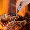 Neu Lebensmittel Thermometer Backen Temperatur Messung Elektronische Sonde Digitale Küche Kochen Temperatur Messung Stift