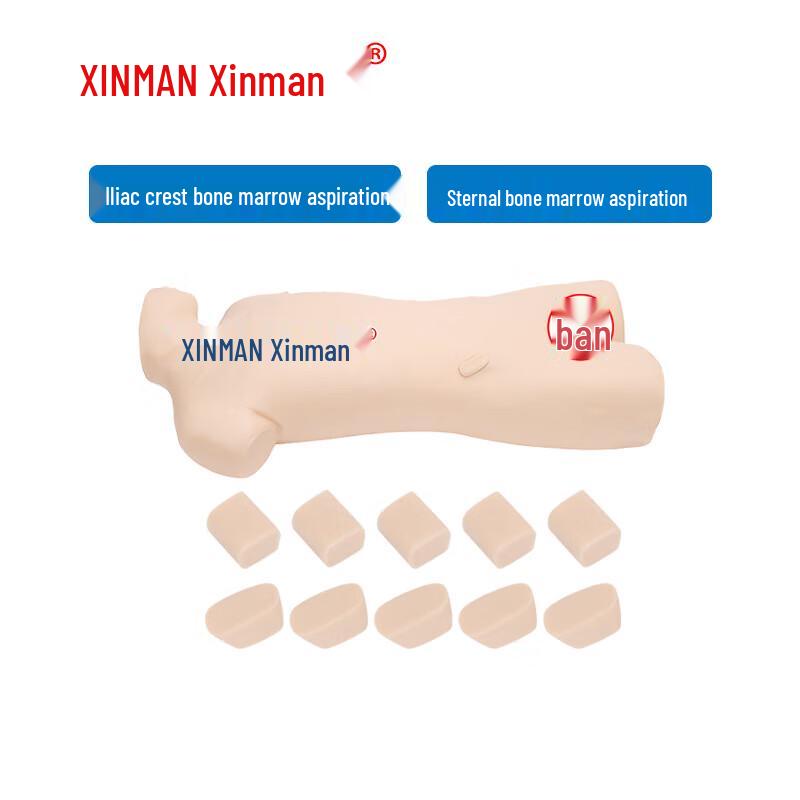 

XINMAN Adult Bone Marrow Puncture Training Model