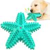 New Dog Starfish Sound-making Toys, Pet Teething Sticks, Dog Toothbrushes, Pet Supplies