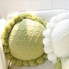 Home Decoration Knitting Cushion Cover Mint Green Tassel Pillowcover Modern Sofa Living Room Waist Pillow Bed Head Round Pillow